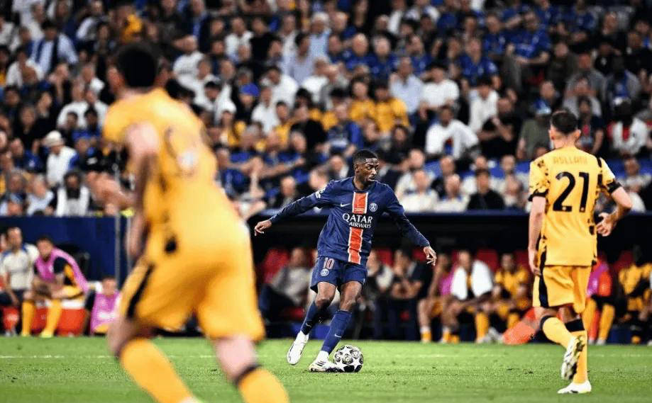 速其职业生 速其职业生