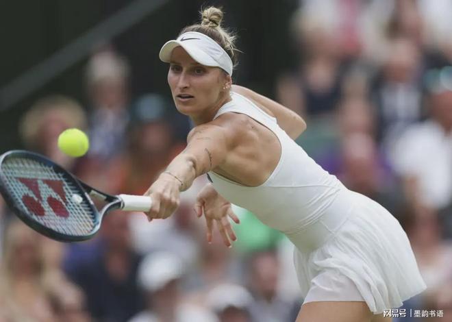 整体战略布 整体战略布